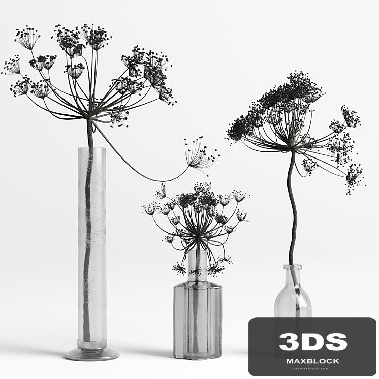 Bouquet Set 01 Vase Glass Dry Hogweed