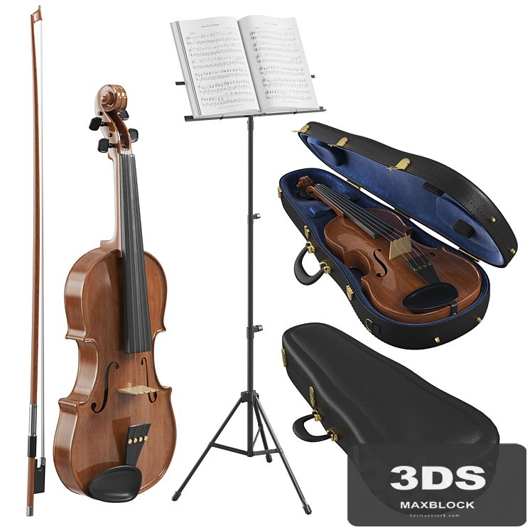 The Violin With Case