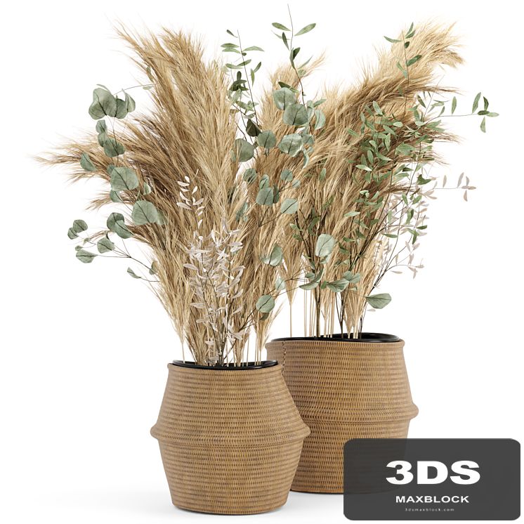 Dry plants 20 - Dried Plantset Pampas set with Wicker Basket