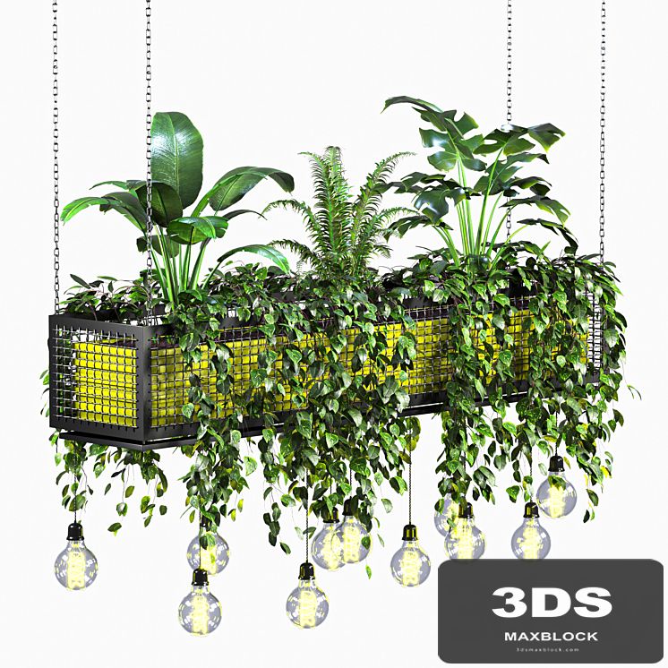 hanging plant 01