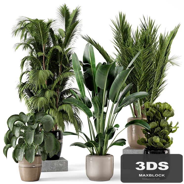 Indoor Plants in rusty Concrete Pot - Set 217