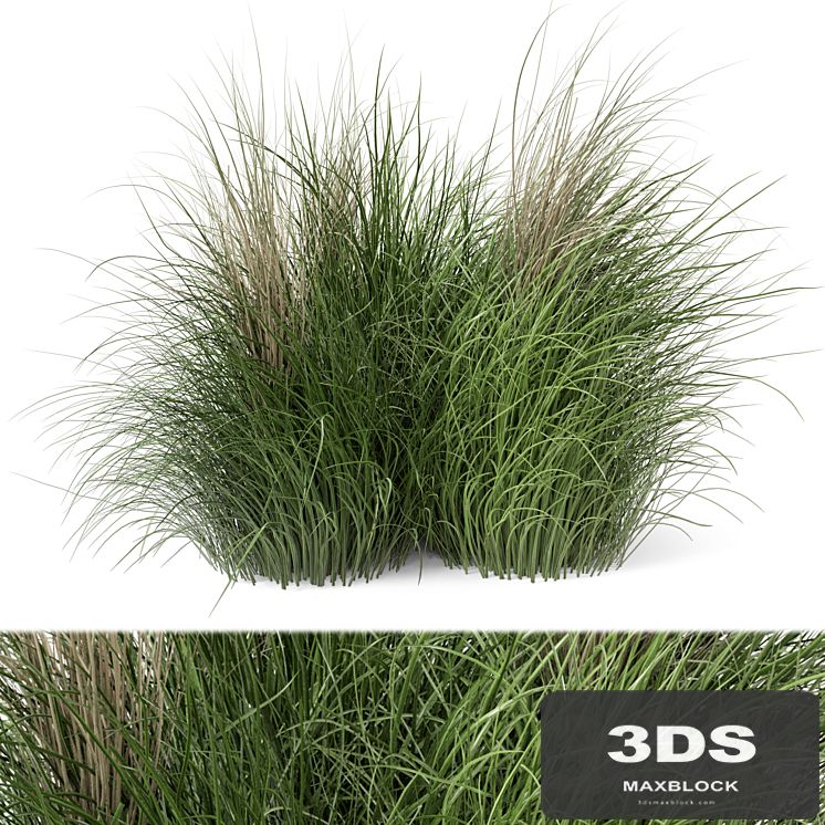 Outdoor Plants Bush -Bush Set 218