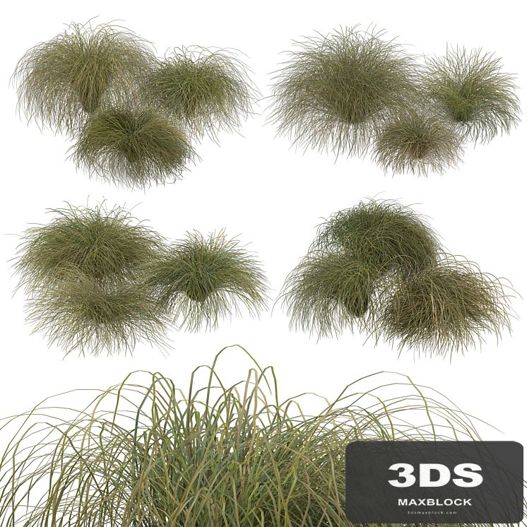 HairSedge