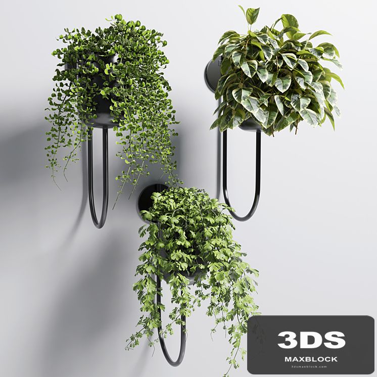 collection Indoor plant 101 vase metal stand wall plant