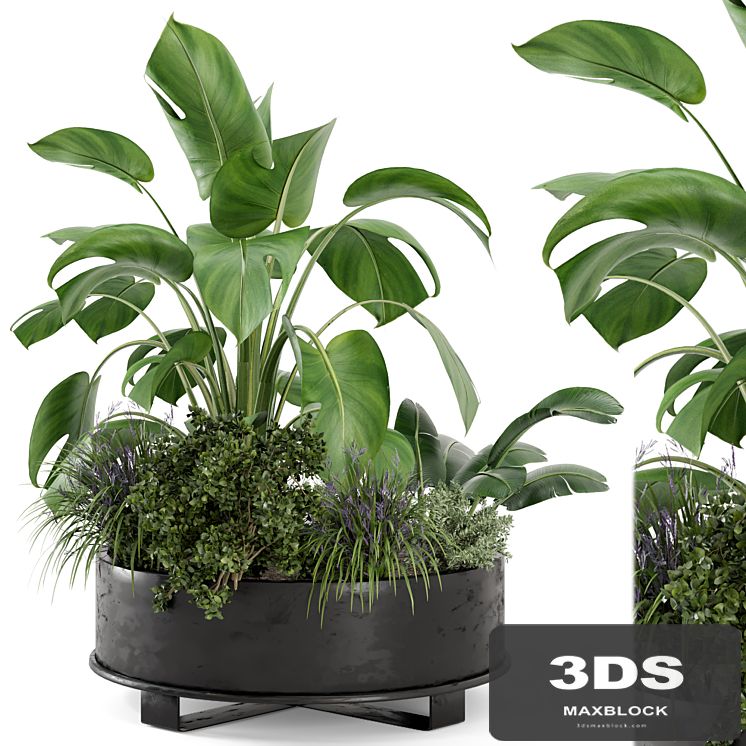 Outdoor Plants Bush in rusty Metal Pot - Set 222
