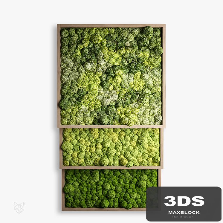panels of moss