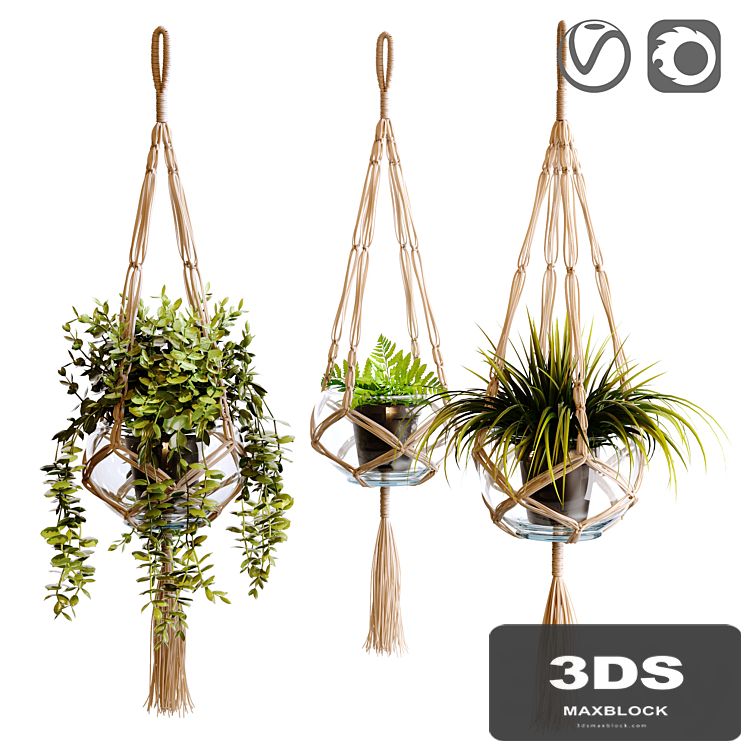 Plant holder, Macramate