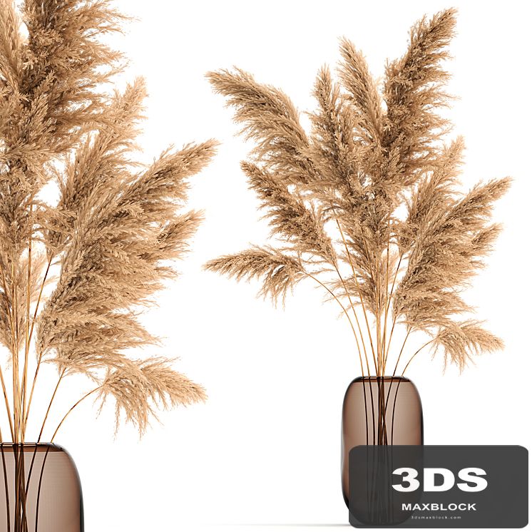 A beautiful lush bouquet of dried flowers in a vase with dry branches of pampas, Cortaderia, reed. 140.