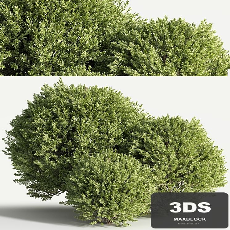 push08_vray