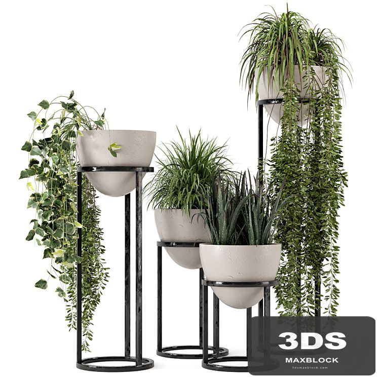 Indoor Plants in rusty Concrete Pot on Metal Shelf - Set 231