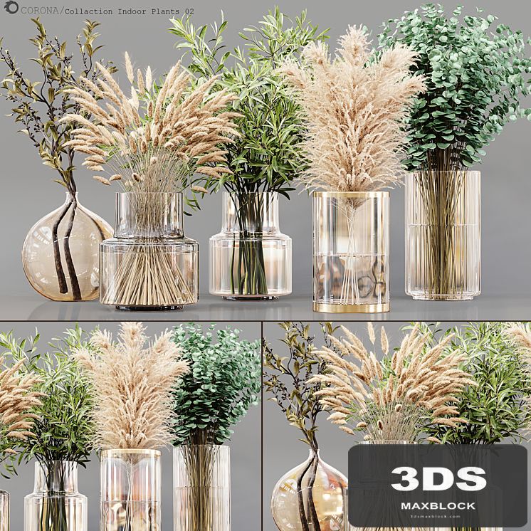 Collection Indoor Plants 02