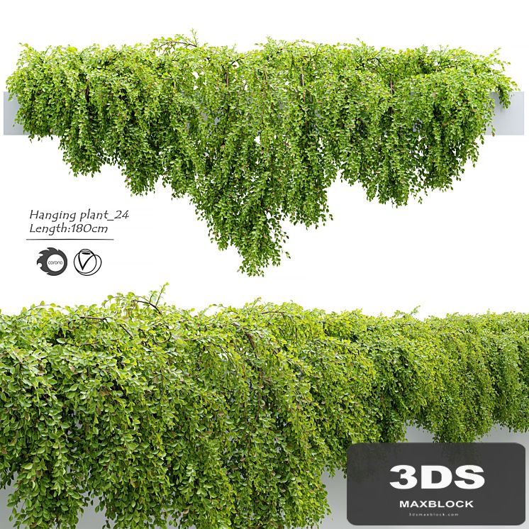 Hanging_Plant_24