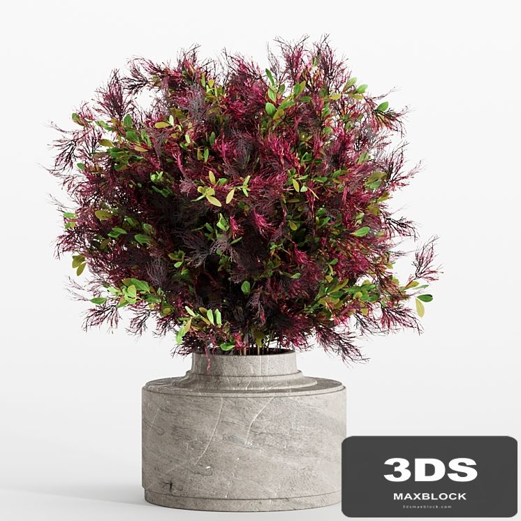 bouquet 7