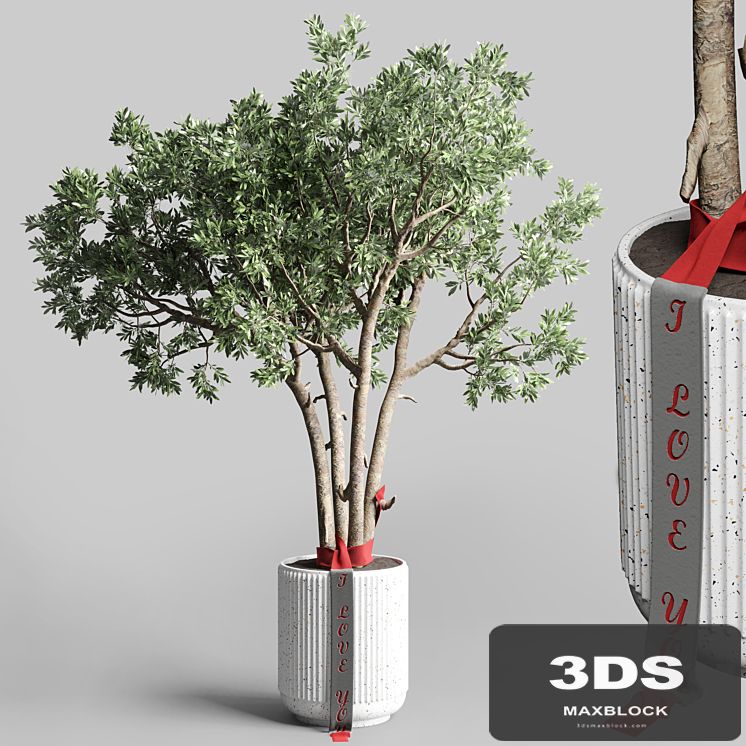 Indoor outdoor plant 111 pot friendship-love tree concrete vase