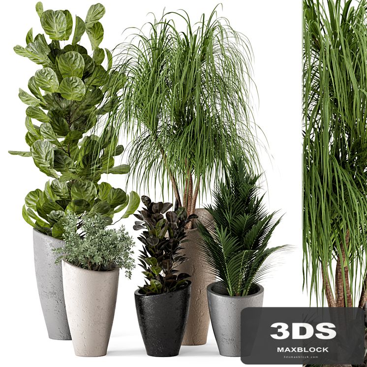 Indoor Plants in rusty Concrete Pot - Set 240
