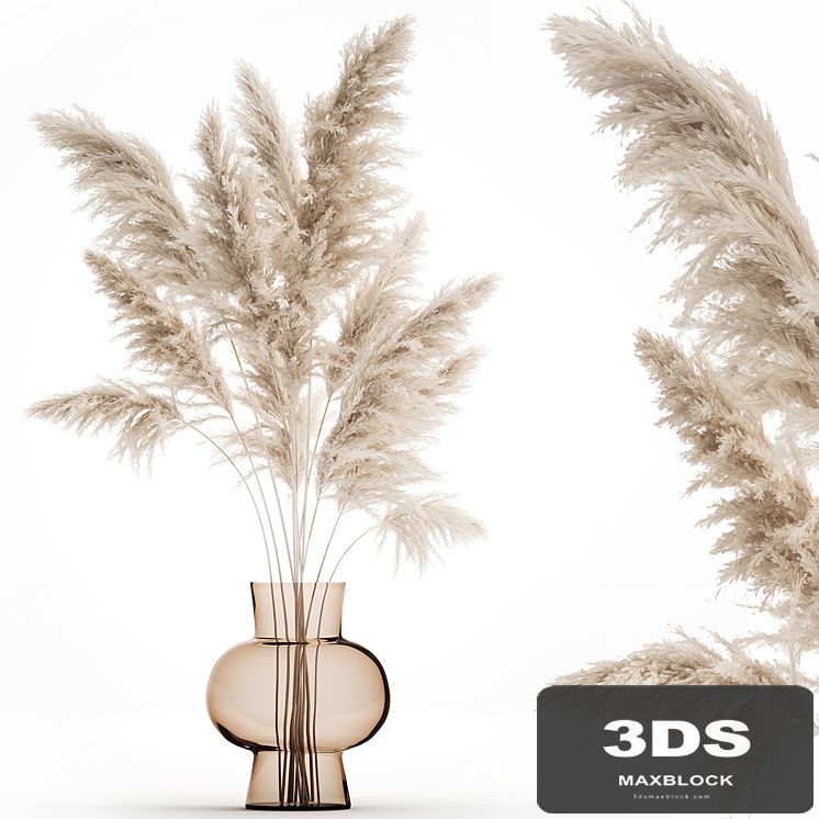 A beautiful lush bouquet of dried flowers in a vase with dry branches of pampas, Cortaderia, white reeds. 150.