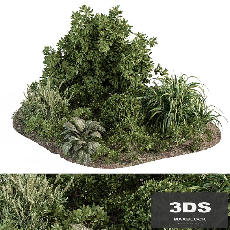 Garden set ivy and Bush - Garden Set 20