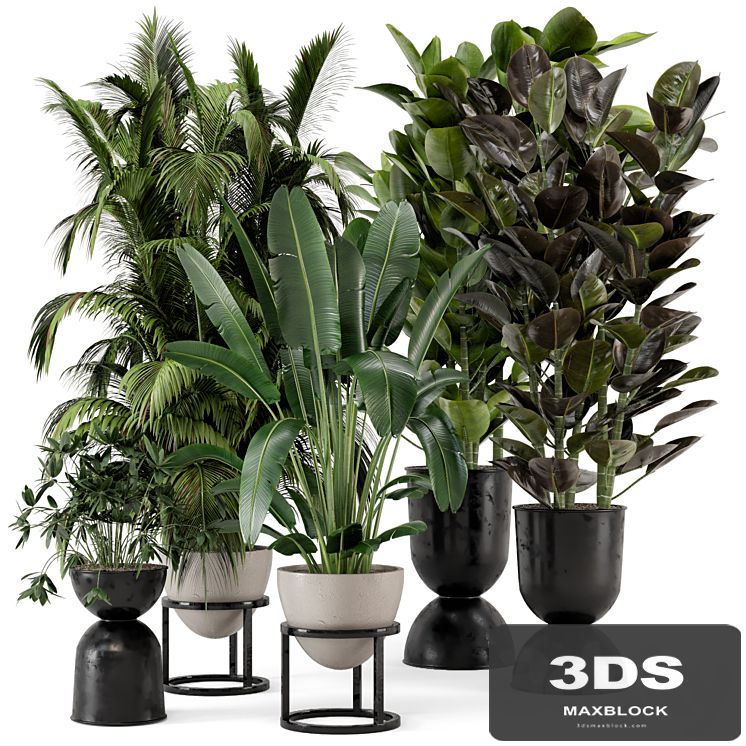 Indoor Plants in rusty Concrete Pot on Metal Shelf - Set 242