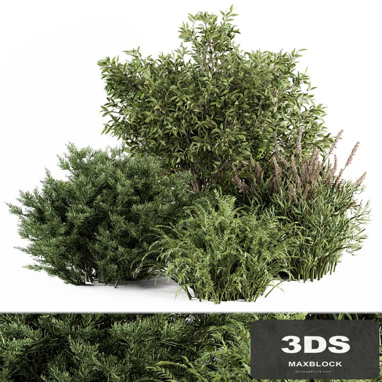 Mixed Plant Bush - Bush Set 37