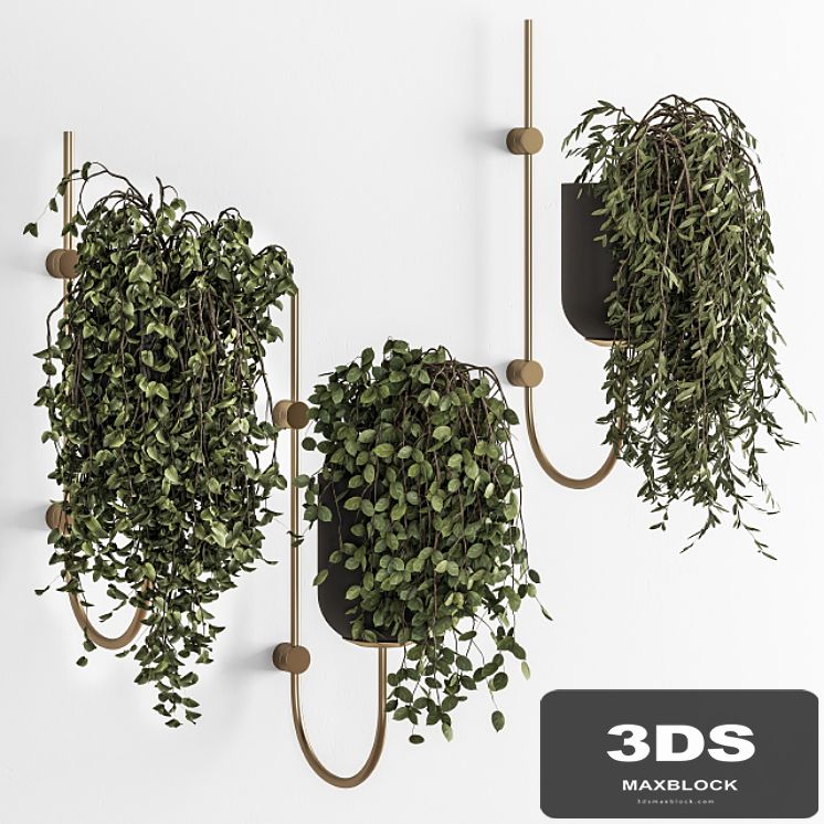 Plant Pot on wall - indoor Plants 280