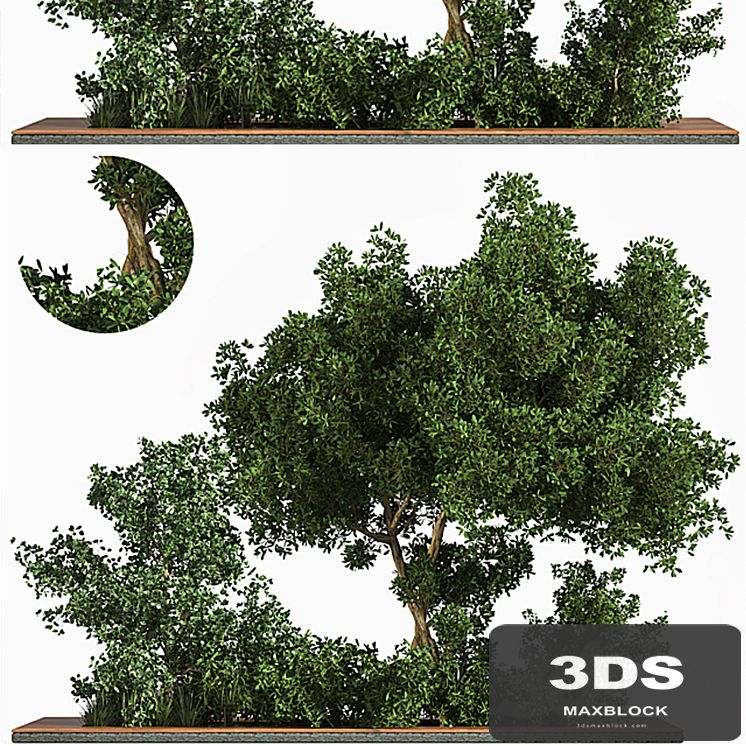 Garden_set_Grass _ & _ Tree