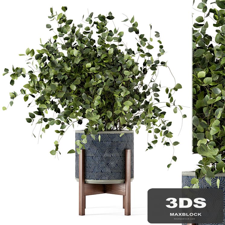 Indoor Plants in rusty Concrete Pot - Set 244