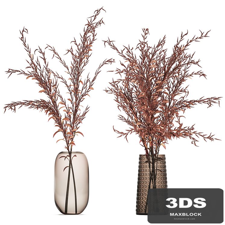 Bouquet of red branches of dried flowers in a glass vase with Goldenrod, Solidago. Set 153.