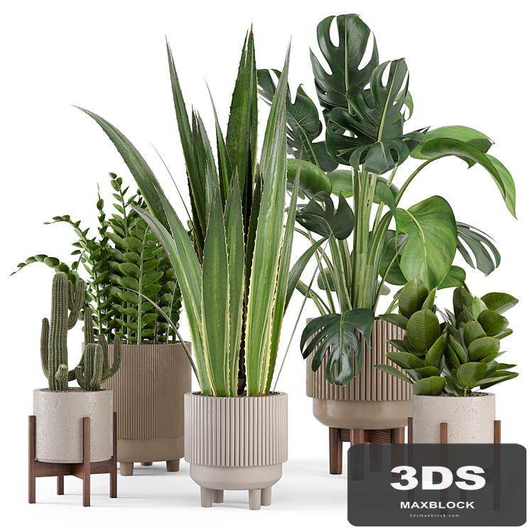 Indoor Plants in Standing Legs Small Bowl Concrete Pot - Set 245
