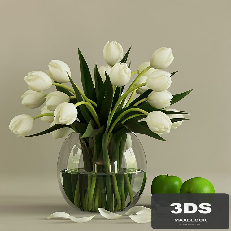 Tulips