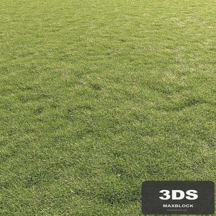 Lawn Grass 01