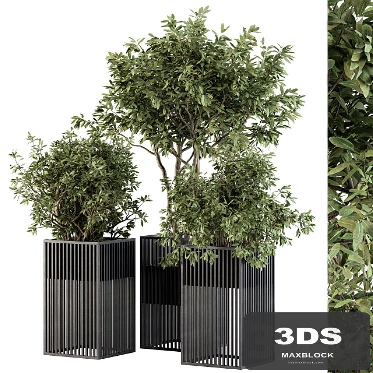 Outdoor Plant Set 276 - Plant Set in Metal Pot