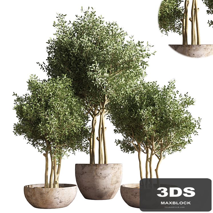 indoor plant stand 19