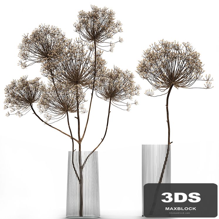Bouquet of dried flowers in a glass vase with dry branches Hogweed . 158.