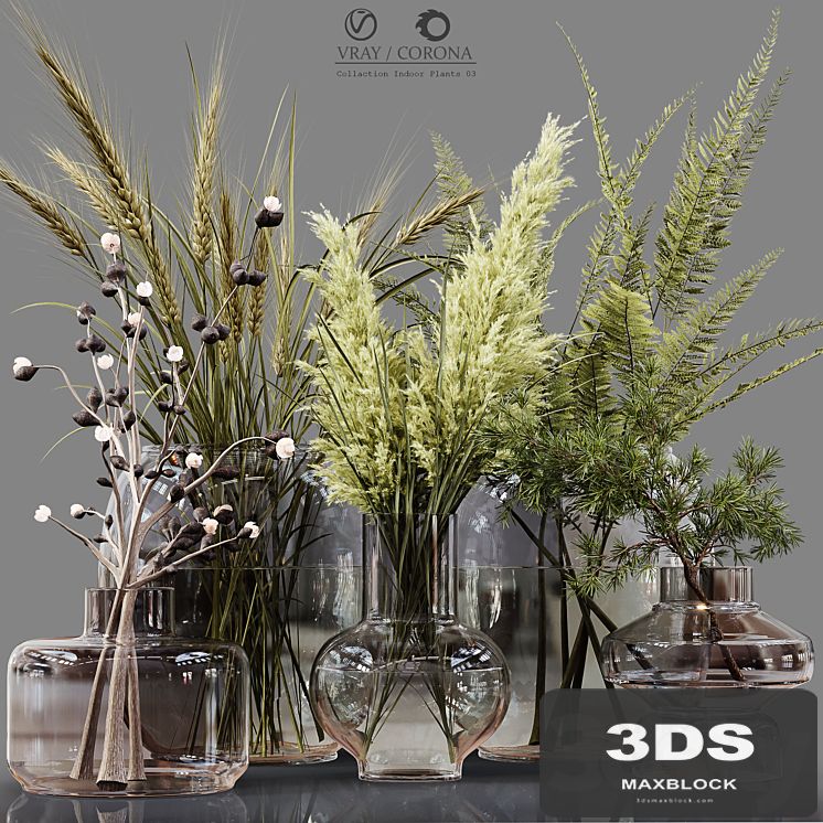 Collection Indoor Plants 03