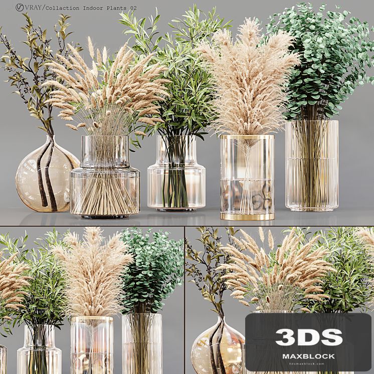 Collection Indoor Plants 02