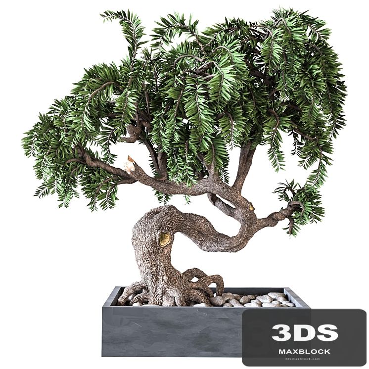 Outdoor Plant Vol 08
