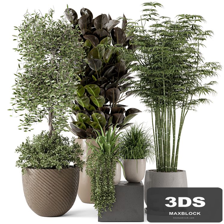 Indoor Plants in rusty Concrete Pot - Set 229