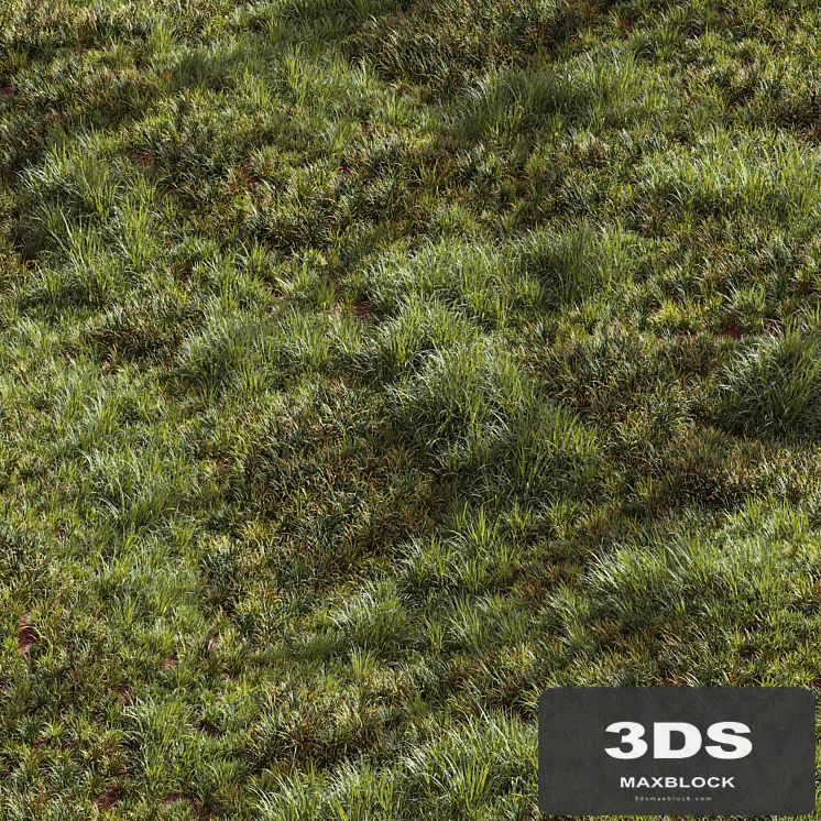 Meadow Lawn Grassland Set 002