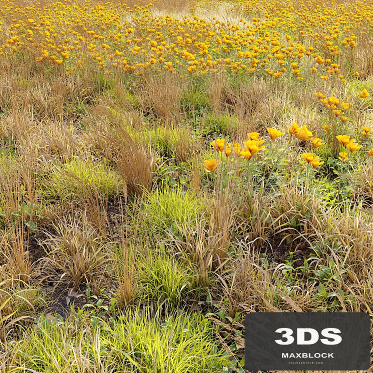 Meadow 5