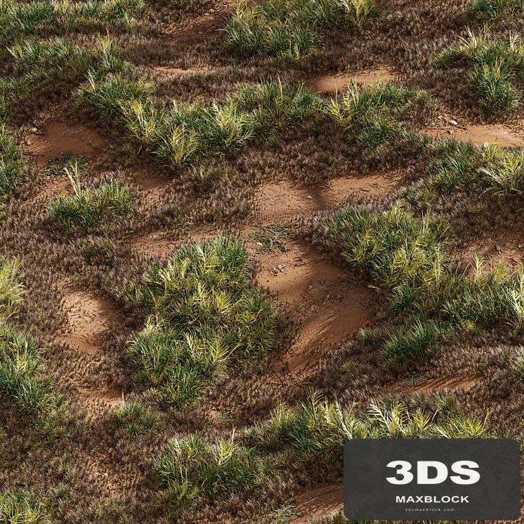 Meadow Lawn Grassland Set 003