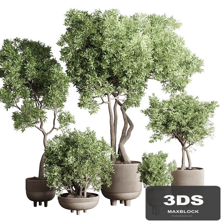 Collection Indoor Outdoor plant 118 vase concrete pot tree corona