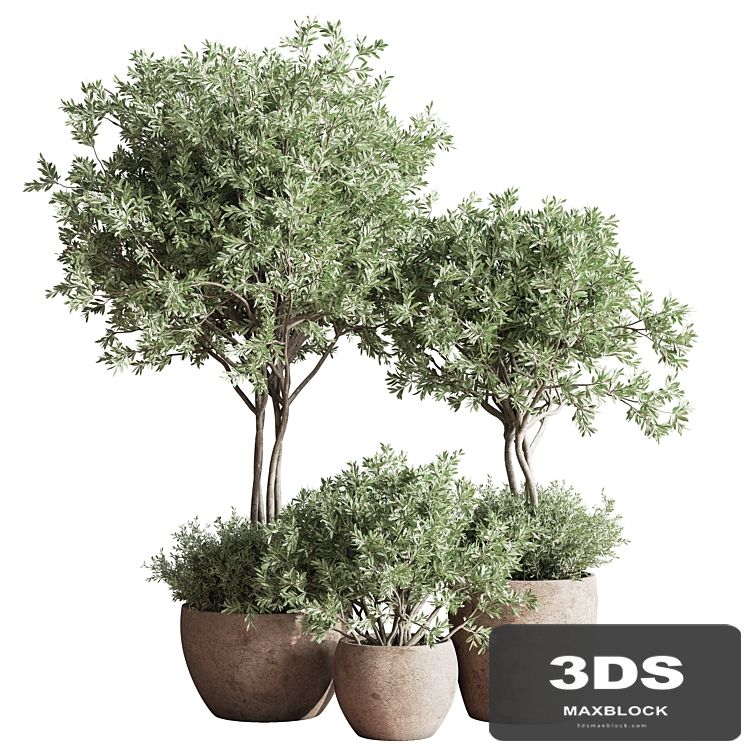 Indoor_Plant_Set_59