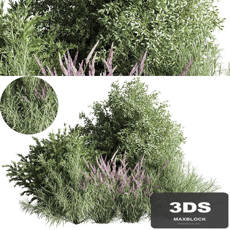 mixed_plant_and_bush_01