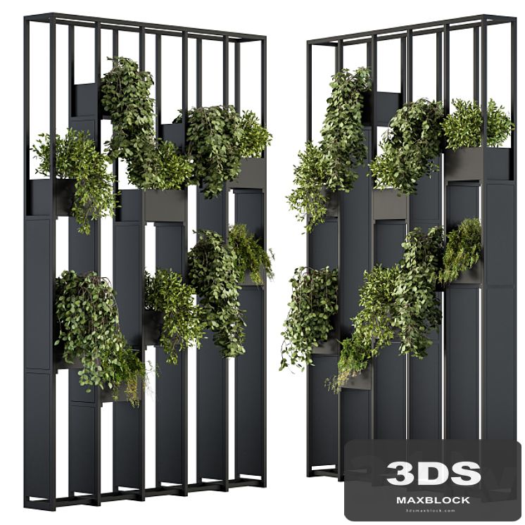 Green Wall - Plants partition 02