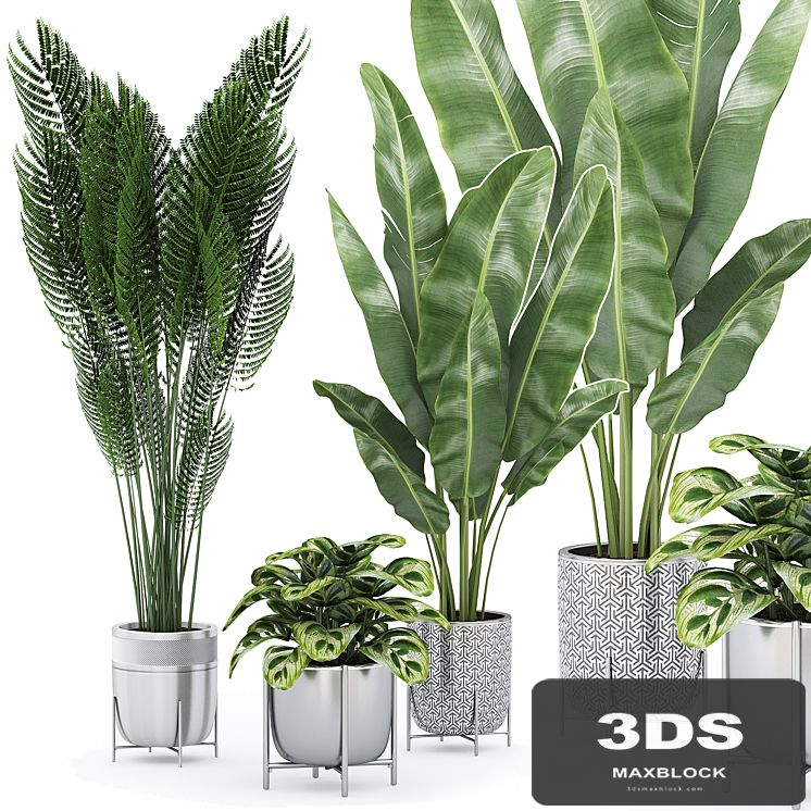 Flower Pack 225С