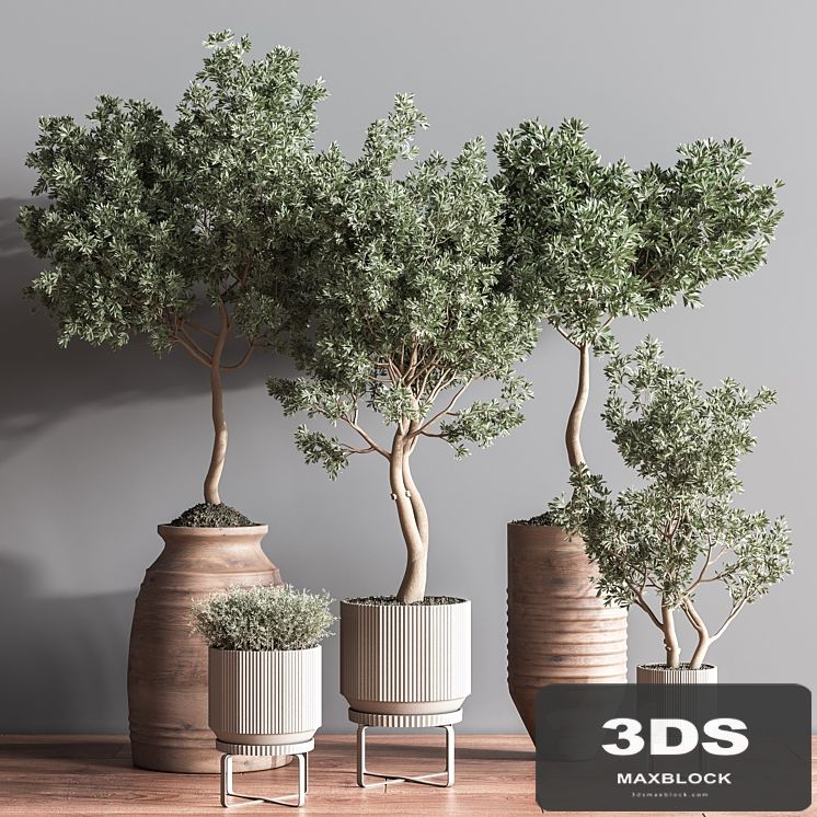 Indoor Plant Set11