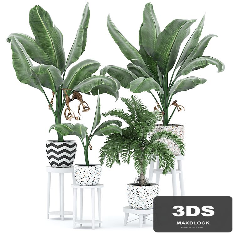Flower Pack 231С