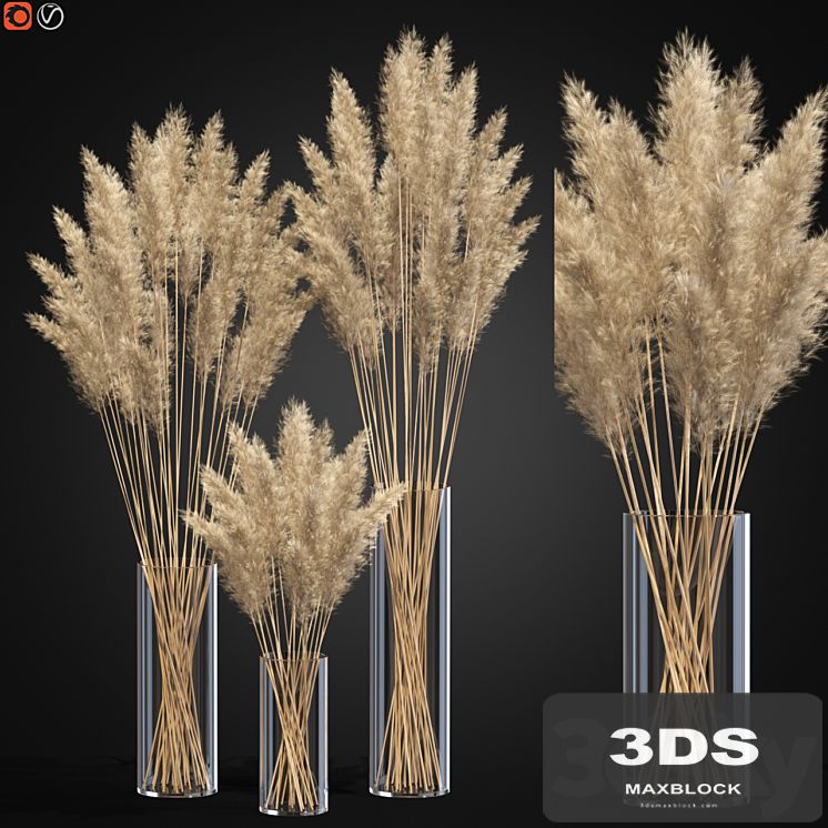 Decorative Pampas