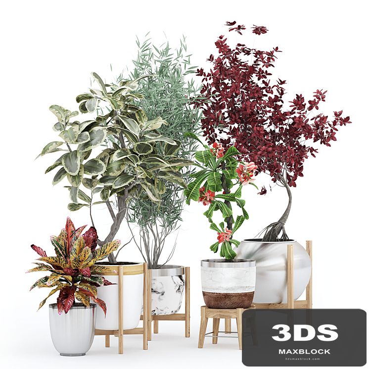 Flower Pack 233С