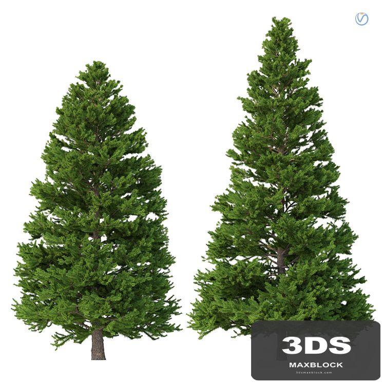 Norway spruce Set 3 V-Ray